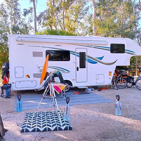 Готель Camping La Naranja Гандія Екстер'єр фото