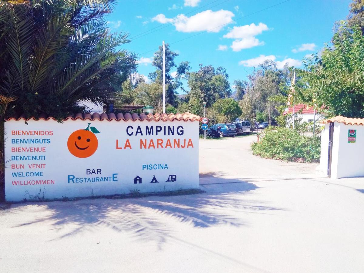 Готель Camping La Naranja Гандія Екстер'єр фото